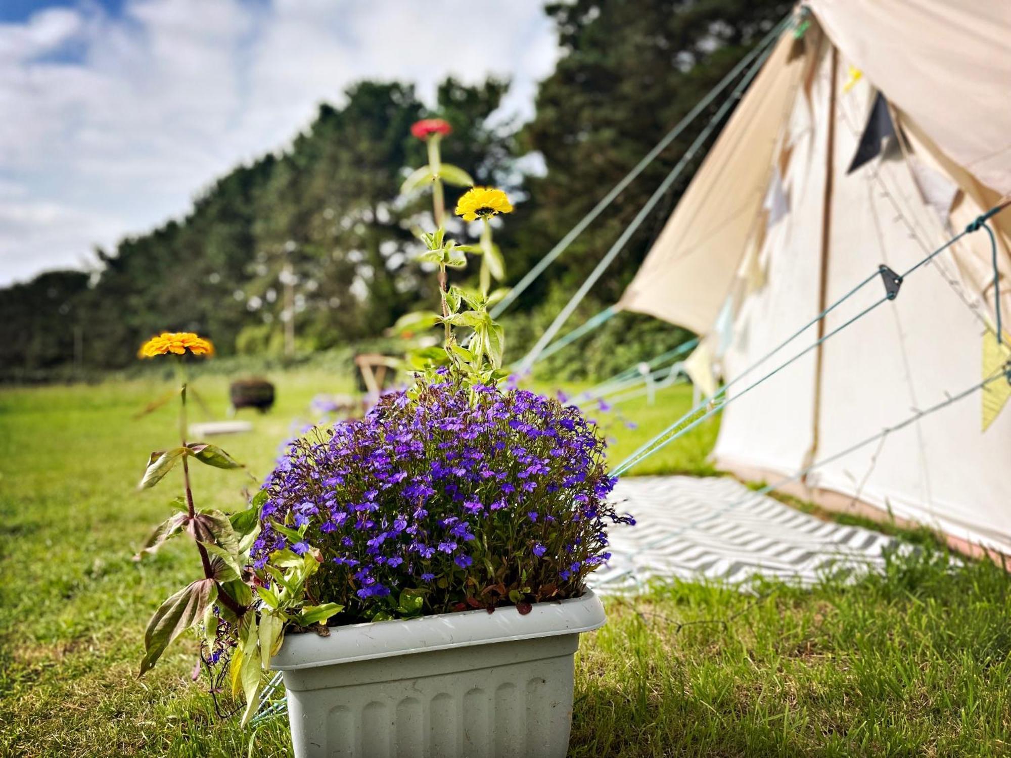 Trevena Cross Glamping & Luxe tent *