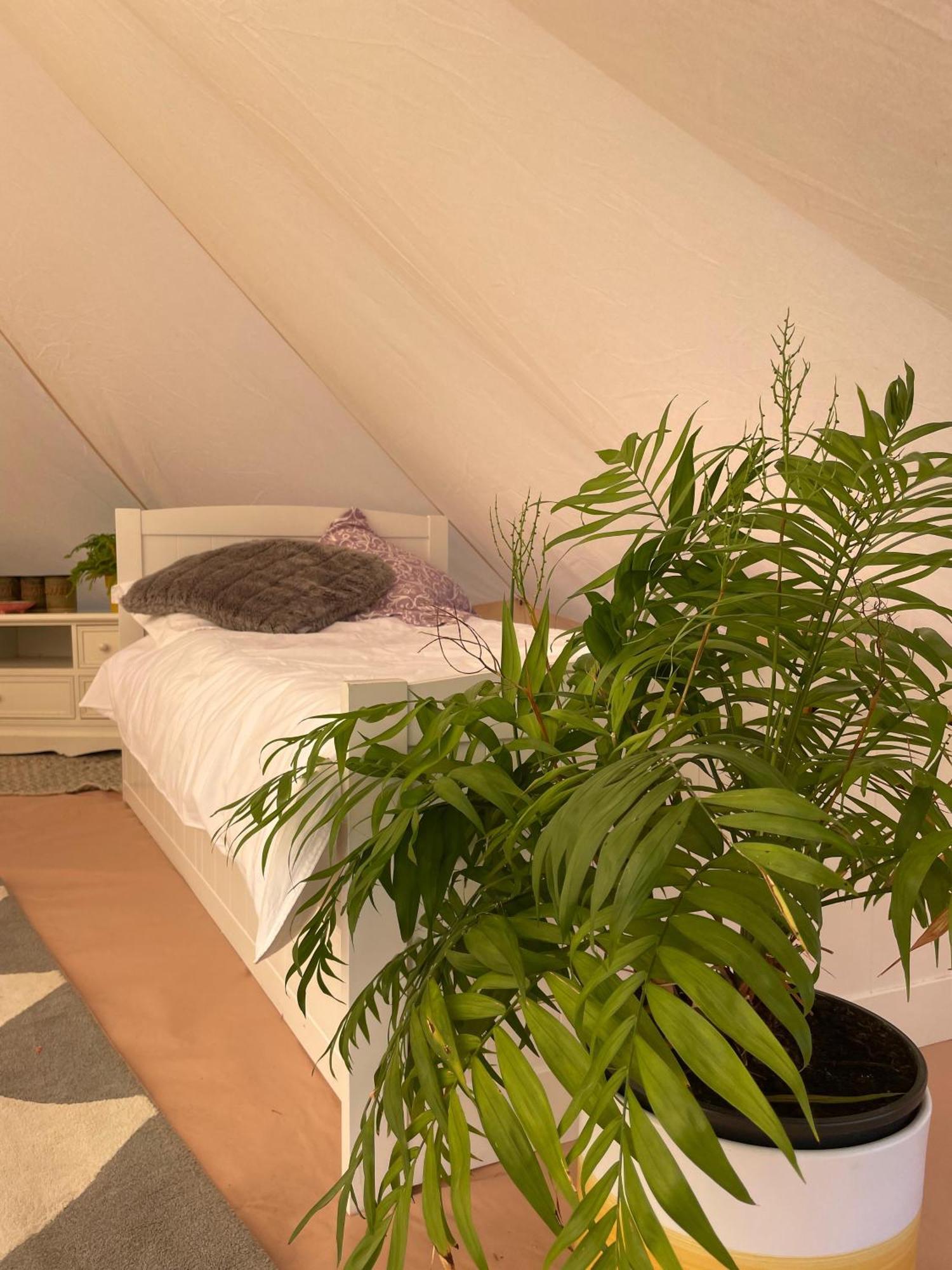 Luxury tent Trevena Cross Glamping & *