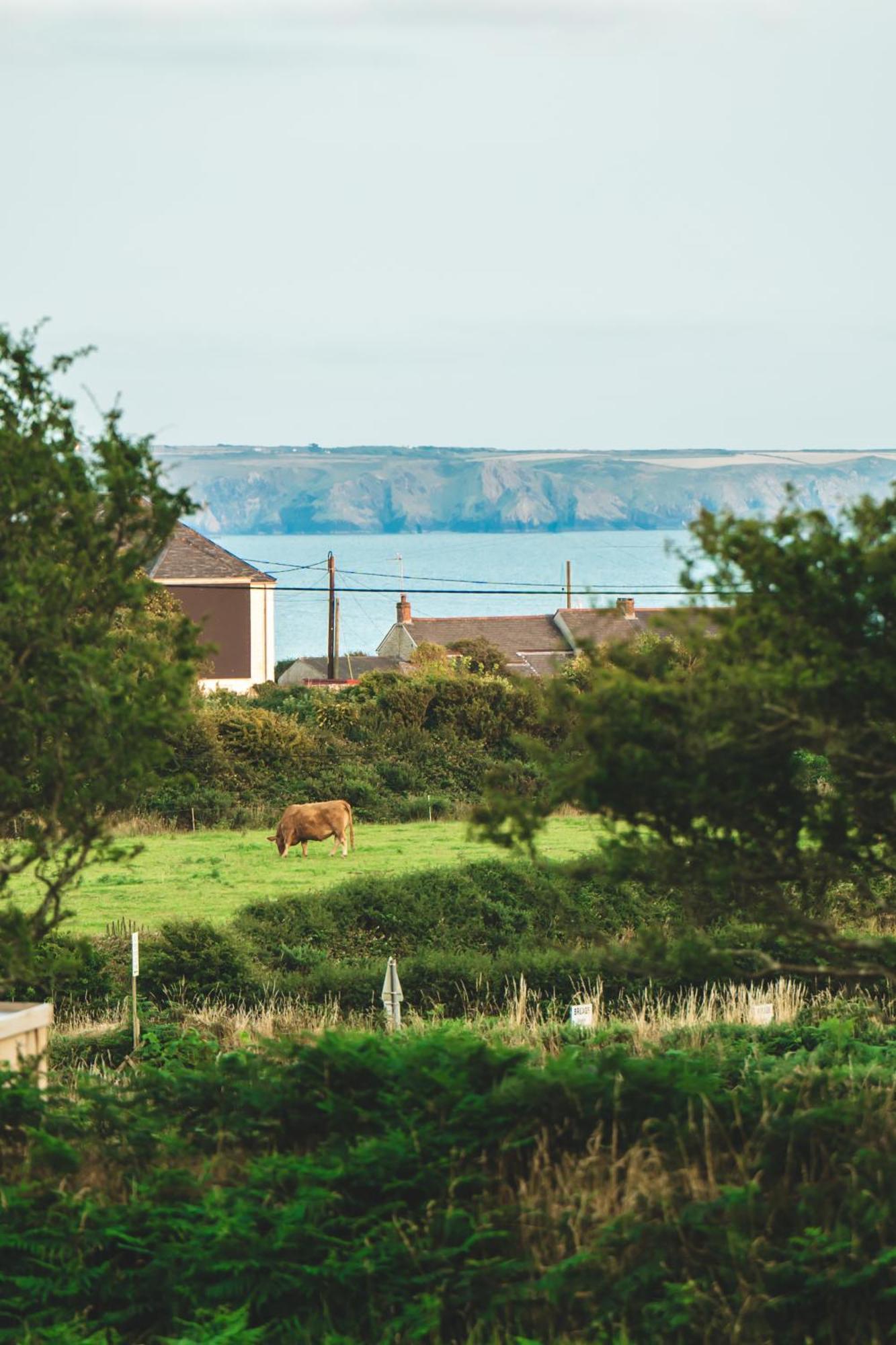 Luxury tent Trevena Cross Glamping & Helston